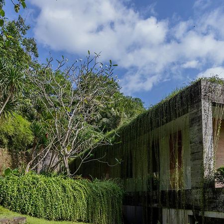 Chameleon Villa Bali Tabanan Zewnętrze zdjęcie